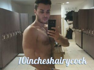 10incheshairycock