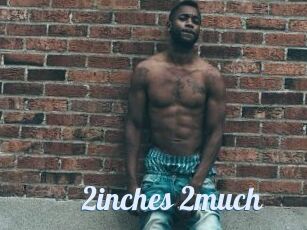 2inches_2much