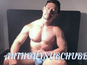 ANTHONYSUBCHUBBY