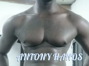 ANTONY_HANDS