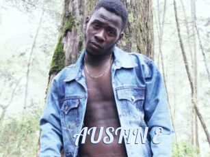AUSTIN_E