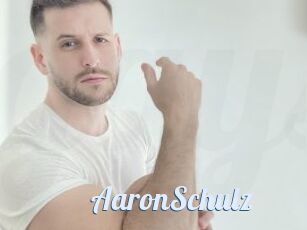 AaronSchulz
