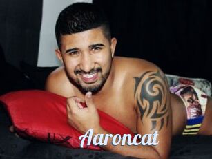 Aaroncat