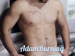 AdamBurning