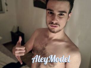 AleyModel