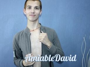 AmiableDavid