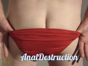 Anal_Destruction