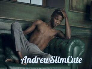 AndrewSlimCute