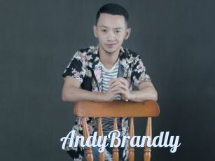AndyBrandly