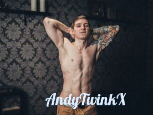 AndyTwinkX
