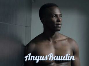 AngusBaudin