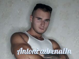 Antoni_adrenal1n