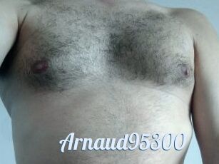 Arnaud95300