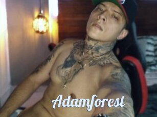 Adamforest