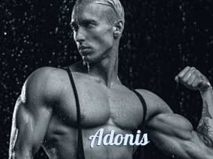 Adonis
