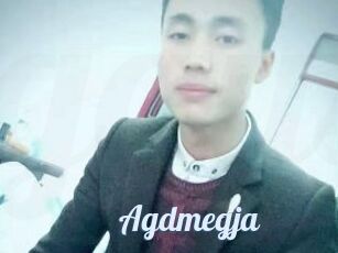 Agdmegja