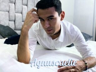 Agnuscaelie