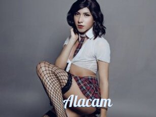 Alacam
