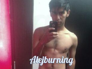 Alejburning