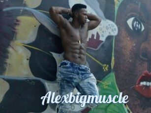 Alexbigmuscle