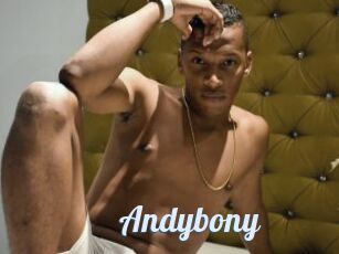 Andybony