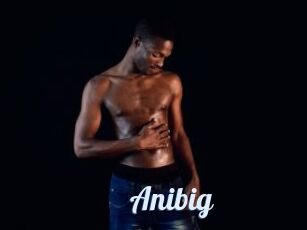 Anibig