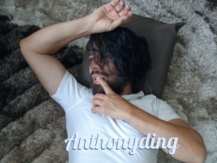Anthonyding