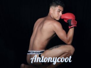 Antonycoot