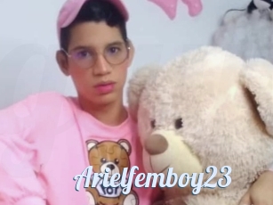 Arielfemboy23