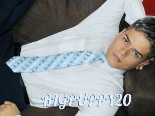BIGPUPPY20