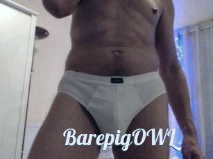 BarepigOWL