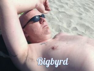 Bigbyrd
