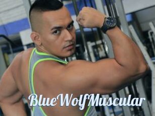 BlueWolfMuscular