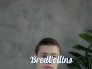 BredCollins