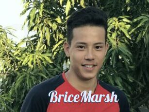 BriceMarsh