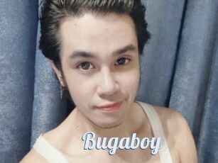Bugaboy