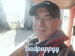 Badpuppyy