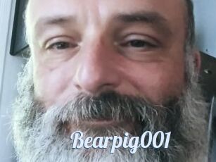 Bearpig001