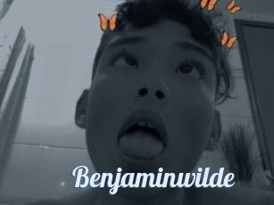 Benjaminwilde