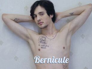 Bernicute