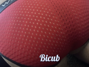 Bicub