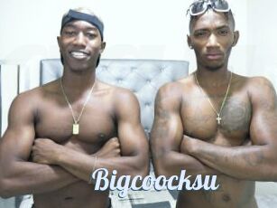 Bigcoocksu