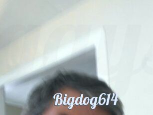 Bigdog614