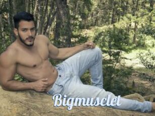 Bigmusclet