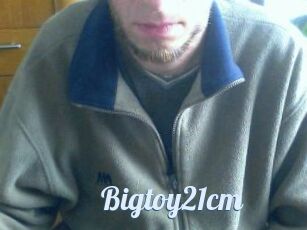 Bigtoy21cm