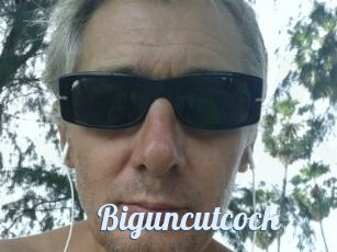 Biguncutcock