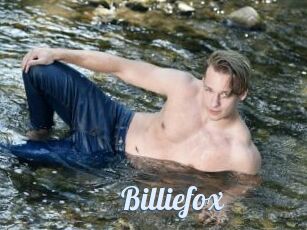 Billiefox