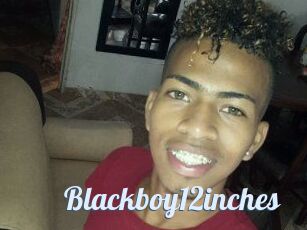 Blackboy12inches
