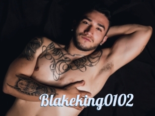 Blakeking0102