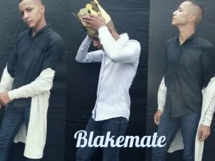 Blakemate